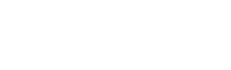 duzguner logo light